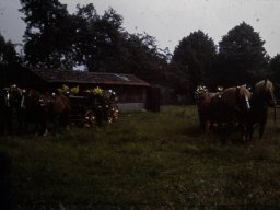 Schützenfest 1969